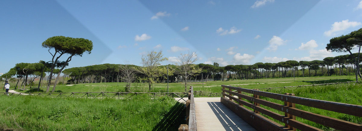 Jogging between history and nature at Villa Guglielmi<